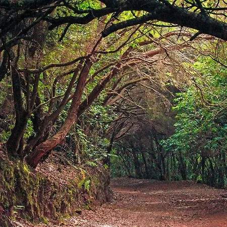 Дом отдыха Almendro Арико-Вьехо