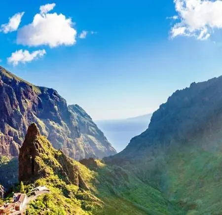 Almendro * Арико-Вьехо