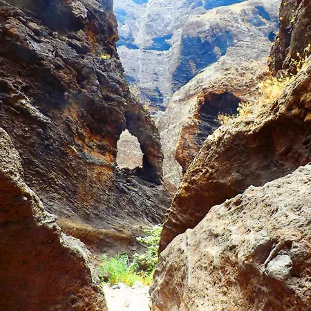 Vakantiehuis Almendro Arico Viejo